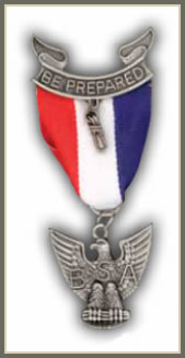 BSA Eagle Badge
